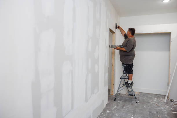 Best Mold Prevention Services  in USA